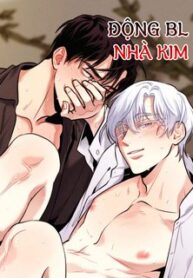 bl-ngan-chich-hony