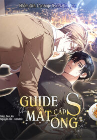 truyen-guide-cap-s-phet-mat-ong